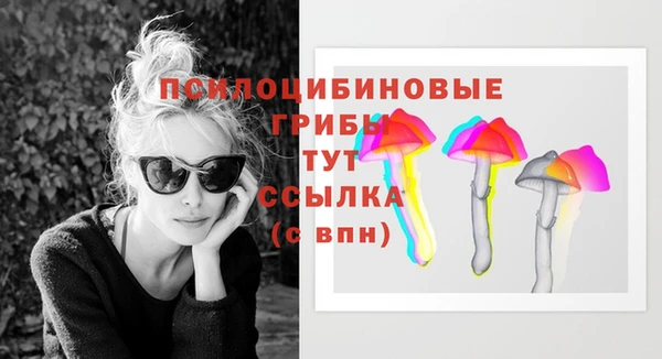 соль ск Абдулино