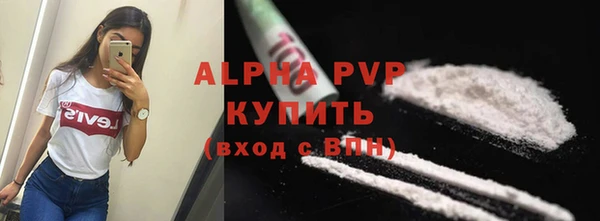индика Михайлов