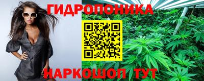 PSILOCYBIN Конаково