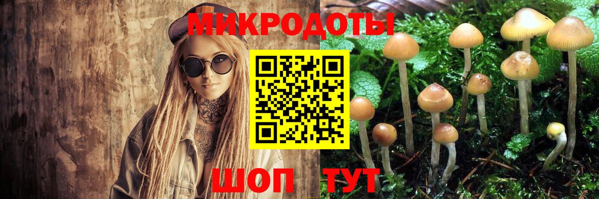 Галлюциногенные грибы Psilocybe Оренбург